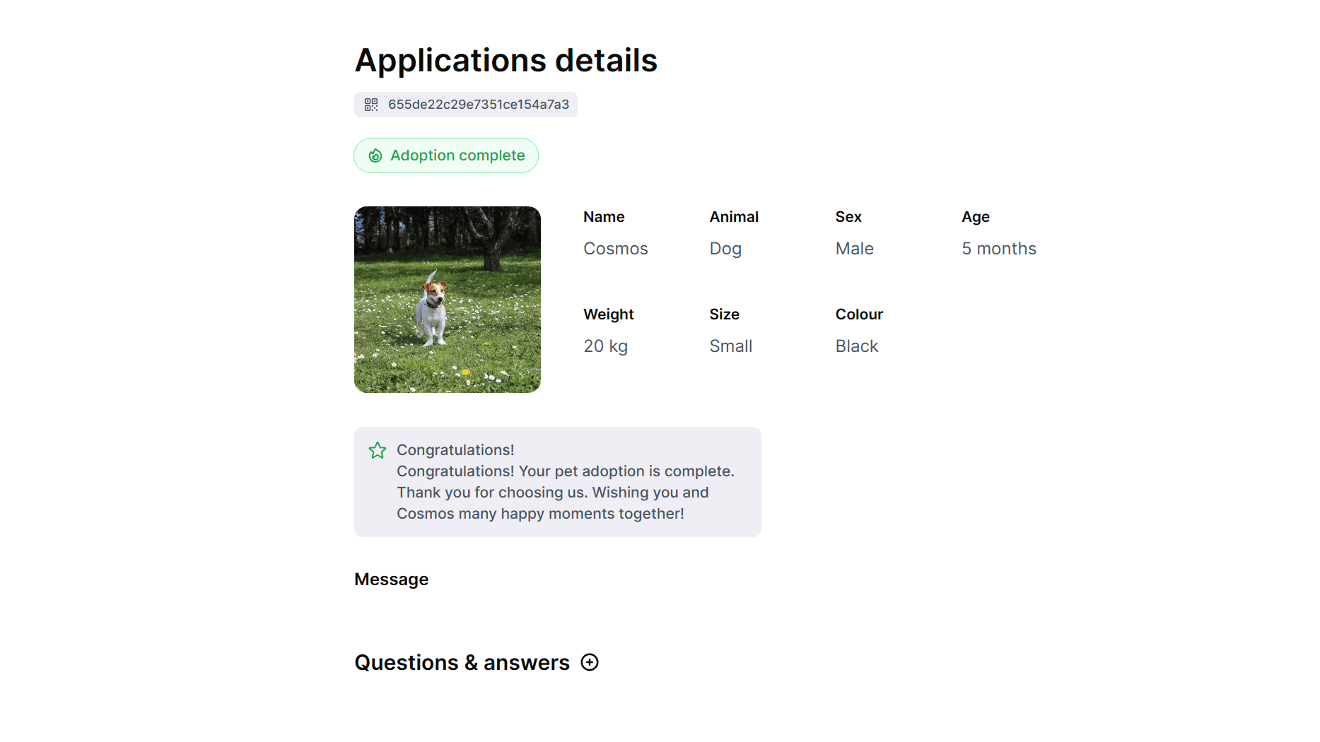 Finalised version of the app showing the adoption journey